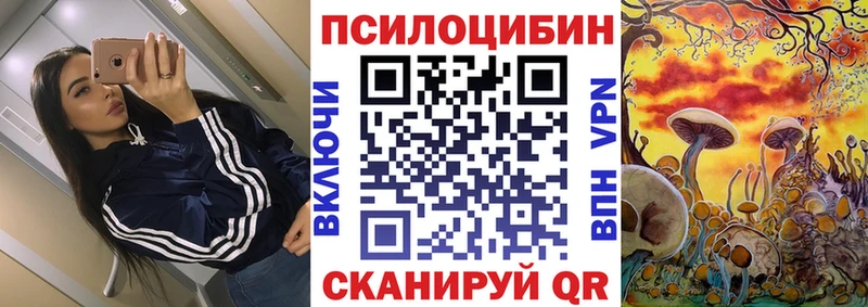 Псилоцибиновые грибы прущие грибы  Купить  Нея 
