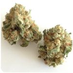 Шишки "White Widow"  (Белая вдова)  Гидропоника -  Бошка VHQ в Нее